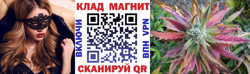 Где найти наркотики Балей Конопля 