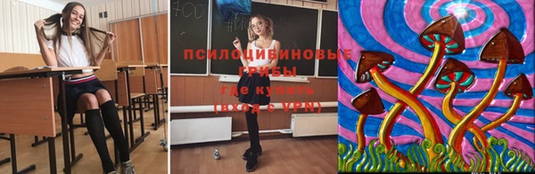 ешки Пересвет