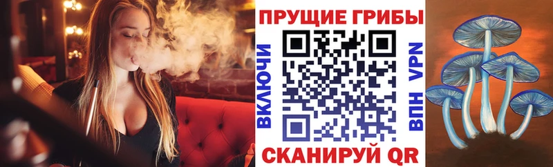 где найти наркотики  Балей  Галлюциногенные грибы MAGIC MUSHROOMS 